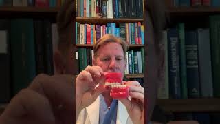 Damage Caused By Thumb Suck by Dr Donald Fox