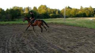 DSCF6086.avi