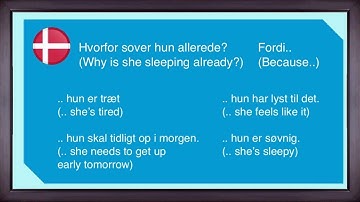 Learn Danish - Question words + possesive pronouns! (Short version) #sentence patterns 2