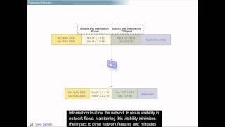 Network Transparency