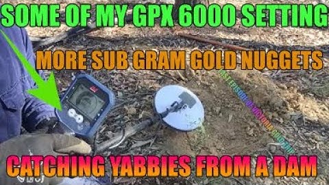 Minelab GPX 6000 PART 4