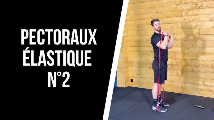 Top 8 des exercices haut du corps avec élastique – Fit Super-Humain