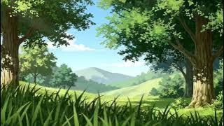 Relaxing Instrument Music for Sleep, Study, and Meditation