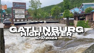 GATLINBURG TN HIGH WATER Power Outages, Road Closures by Smoky Mountain Family 283,835 views 3 days ago 8 minutes, 37 seconds