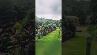 嚮往的生活~造橋大草坪合法農舍