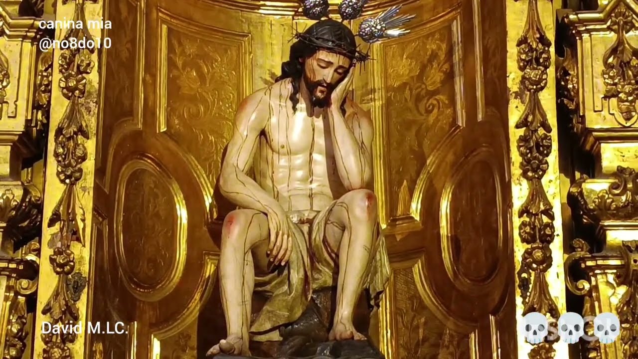 Iglesia Colegial del Divino Salvador