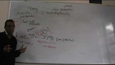 CVS Cardiac properties part 3 Dr Mohamed Fayez