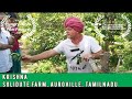 Eat Local Week at Solitude Farm Auroville with Krishna & Joy Of Impermanance | Auroras Eye Films