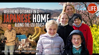 Weekend Getaway in a Japanese House Along the Izu Coast  | Life in Japan Episode 149