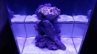 Innovative Marine Abyss Drop off Panorama