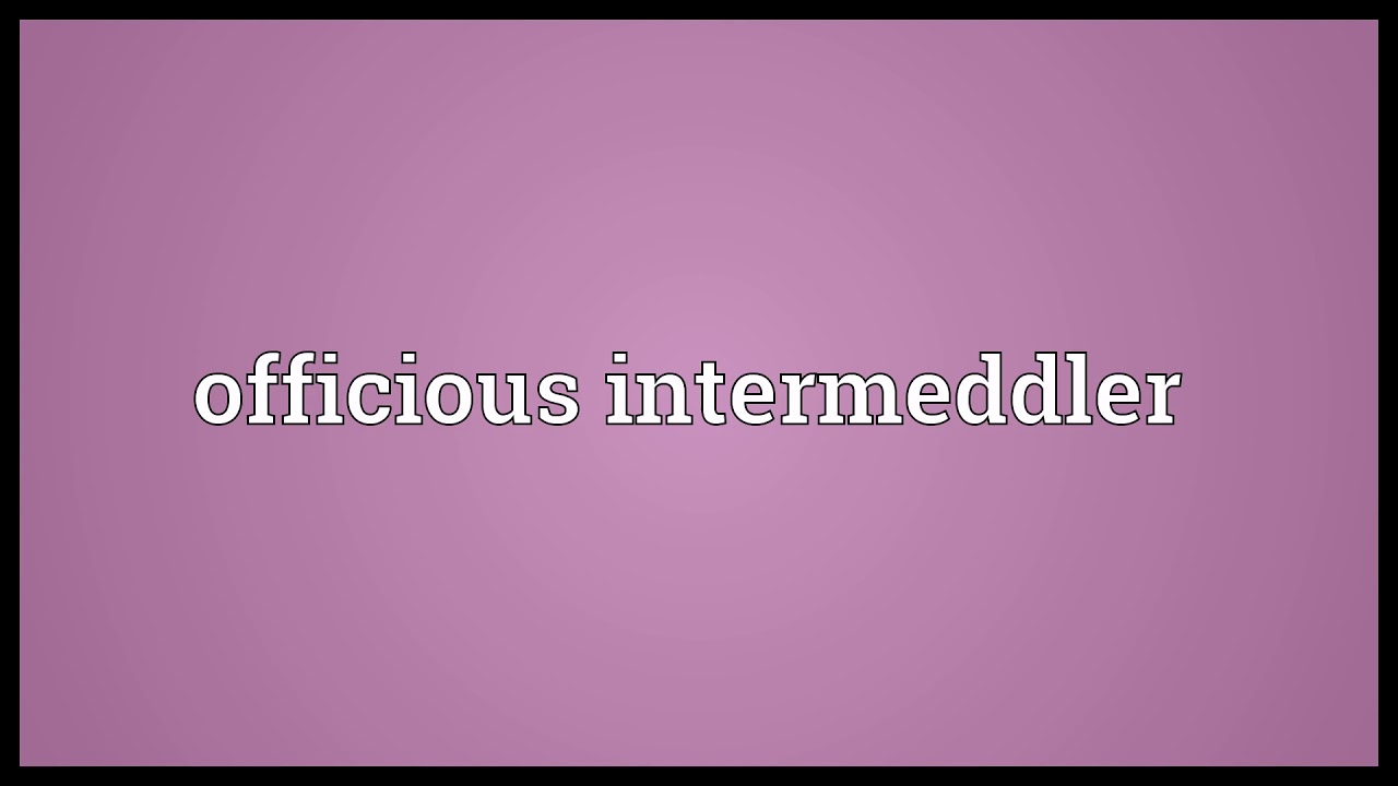 Officious intermeddler Meaning | Wordogram