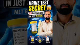 Urine Test Secret 😱 | 25 Parameters in Just 3 Steps | MLT Guide #viral #trending #shorts