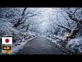 [4K HDR] Tokyo After the Snowstorm 🇯🇵 (This Felt Unreal)