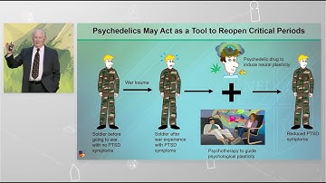 Memory Consolidation