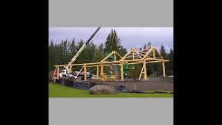 From Forest to Form - Short Form