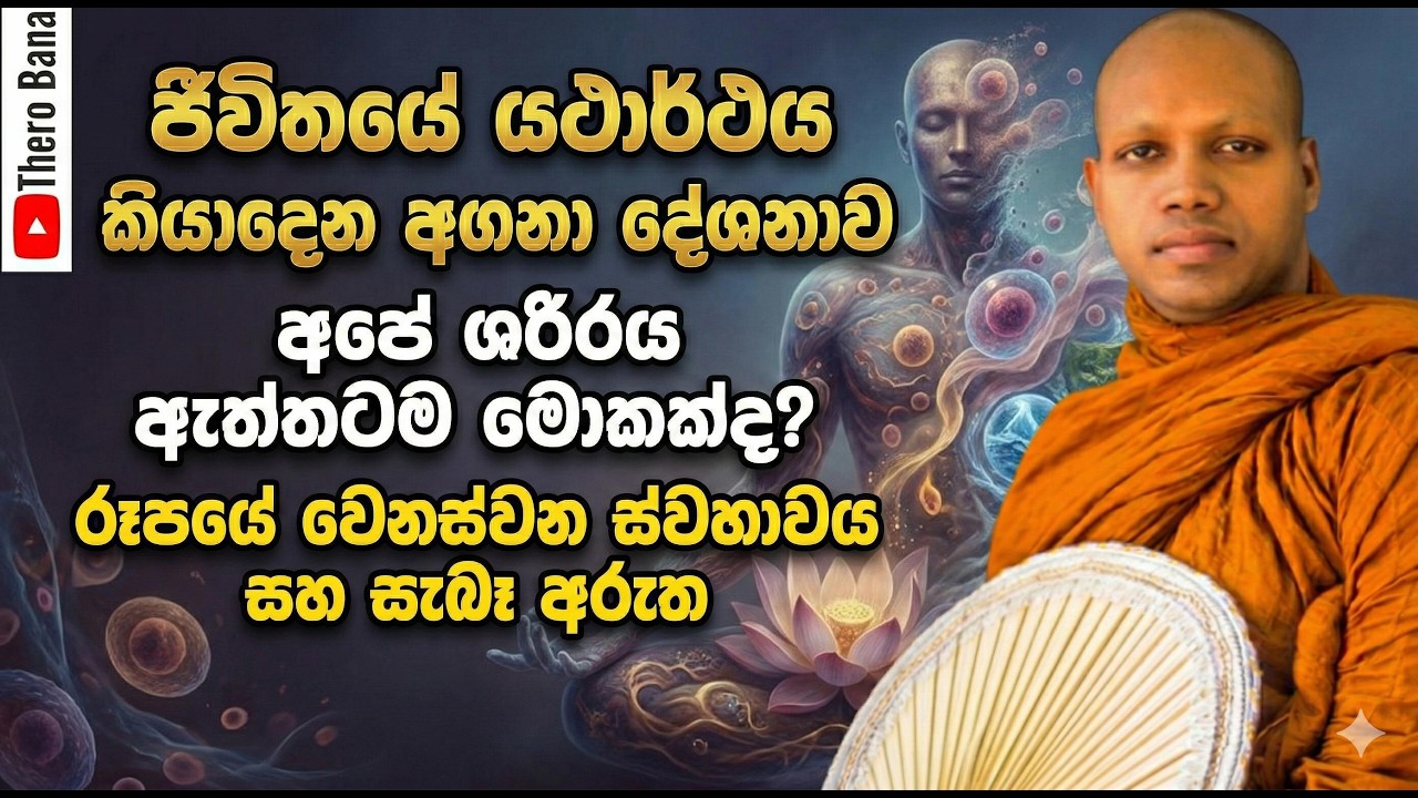 ජීවිතයේ යථාර්ථය කියාදෙන අගනා දේශනාවක්,මගහැර ගන්න නම් එපා! |  | Hasalaka Seelawimala Thero Bana 2025