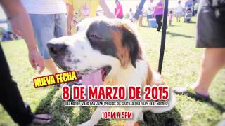 El Morro Pet Fest 8 Marzo 2015