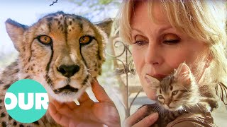 Joanna Lumley Explores Our Captivating Obsession with Cats | Our World