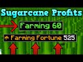 I Farmed Sugarcane For An Hour And Made ___ In Hypixel Skyblock