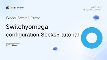 SwitchyOmega and Pia S5 Proxy configuration Socks5 proxy tutorial