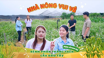 PHIM HÀI SITCOM | NHÀ NÔNG VUI VẺ | NSND QUỐC ANH, THÙY LIÊN | BỆNH PHẤN TRẮNG TRÊN CÂY DÂU TÂY