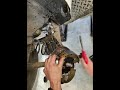 Remontage des freins arrière : précision et méthode ! 🔧🔥