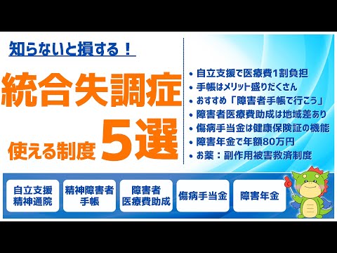 【統合失調症】使える公的制度まとめ(自立支援医療・障害者手帳・障害年金)