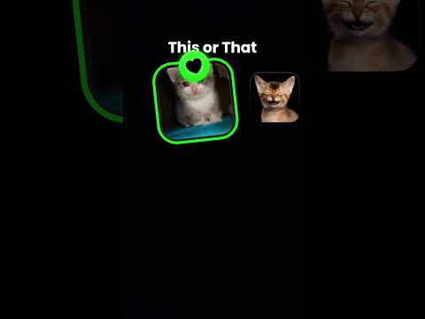 meow