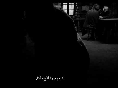 حصان تورينو بيلا تار