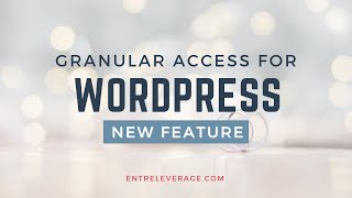 Granular Access for WordPress with Go High Level