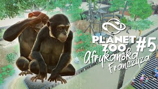 Szympansy Zachodnie! ? AFRYKAŃSKA FRANCZYZA ? - Planet Zoo #5