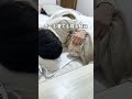 猫の飼い主やること10選🤣 #猫 #ねこ #猫動画 #ねこ動画 #猫好きさんと繋がりたい #猫あるある #猫のいる暮らし #猫のいる生活 #猫との暮らし #猫好き