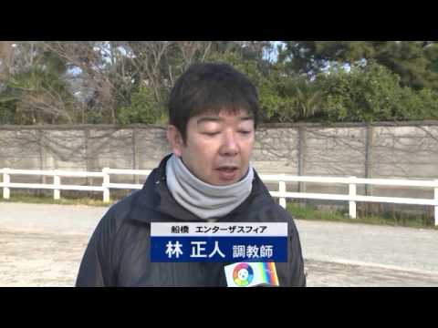 第38回 京浜盃 Sii の調教インタビュー動画 Youtube