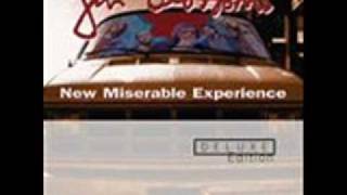 Gin Blossoms-Mrs.Rita (live)