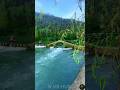 🌿💦Lost in the sound of waterfalls and the peace of nature🍃 ~#NatureVibes #PeacefulViews #Shorts