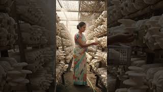 Inside a Massive Vertical Mushroom Farm
