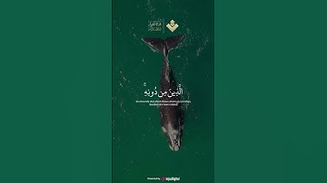 تلاوة خاشعة من سورة لقمان | الشيخ المنشاوي  #quran