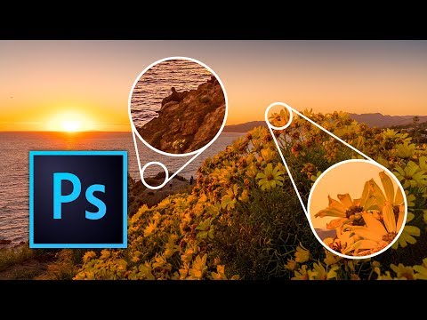 Beginner tutorial: Focus Stacking in Photoshop CC 