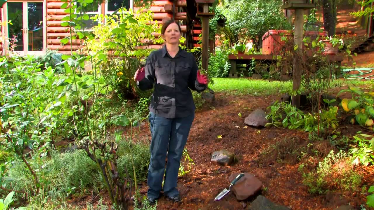 Steps In Planting A Garden You Steps In Planting A Garden You