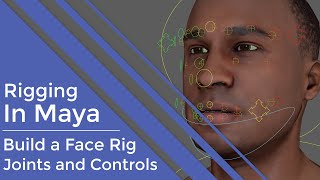 #RiggingInMaya | Part 12 | Intermediate | Face Rig - Joints & Controls