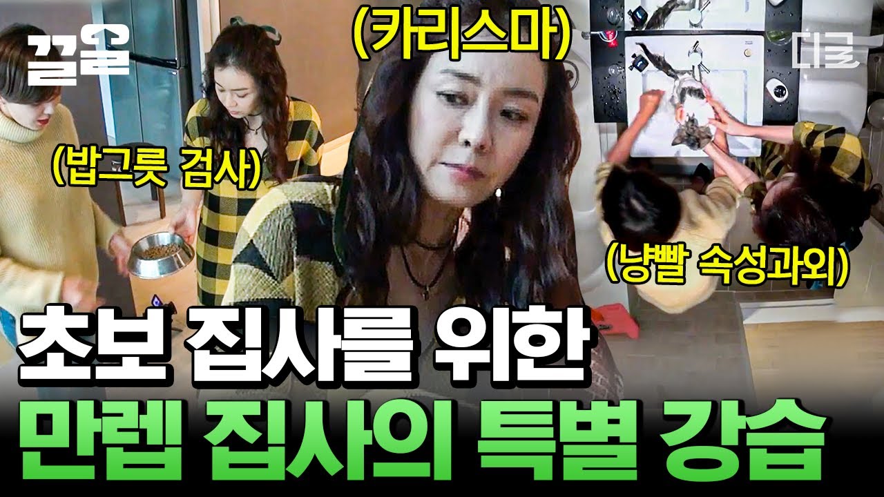 [#대화가필요한개냥] ※전국 집사들 주목※ 고양이 알레르기 있는 10년 차 집사 김정난의 초보 집사를 위한 초스피드 교육!