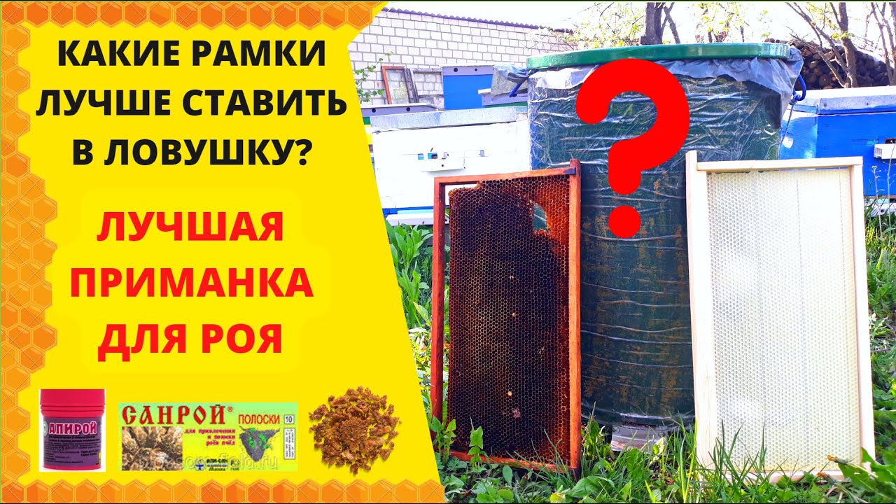 КАКИЕ РАМКИ ЛУЧШЕ СТАВИТЬ В ЛОВУШКУ? ЛУЧШАЯ ПРИМАНКА ДЛЯ РОЯ!