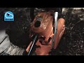 See how the Fast Idle function works on an ECHO chainsaw.