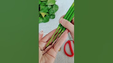 cần câu tay thanh long 3h chuyên câu cá rô,cá giếc #fishing #cauca