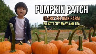 Our First Pumpkin Picking Experience! | Clark's Elioak Farm, Ellicott City, Maryland, USA | ca. '20