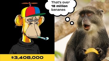 How to Launch an NFT Project in Solidity FAST 🚀 (Real Mainnet Deploy Demo)