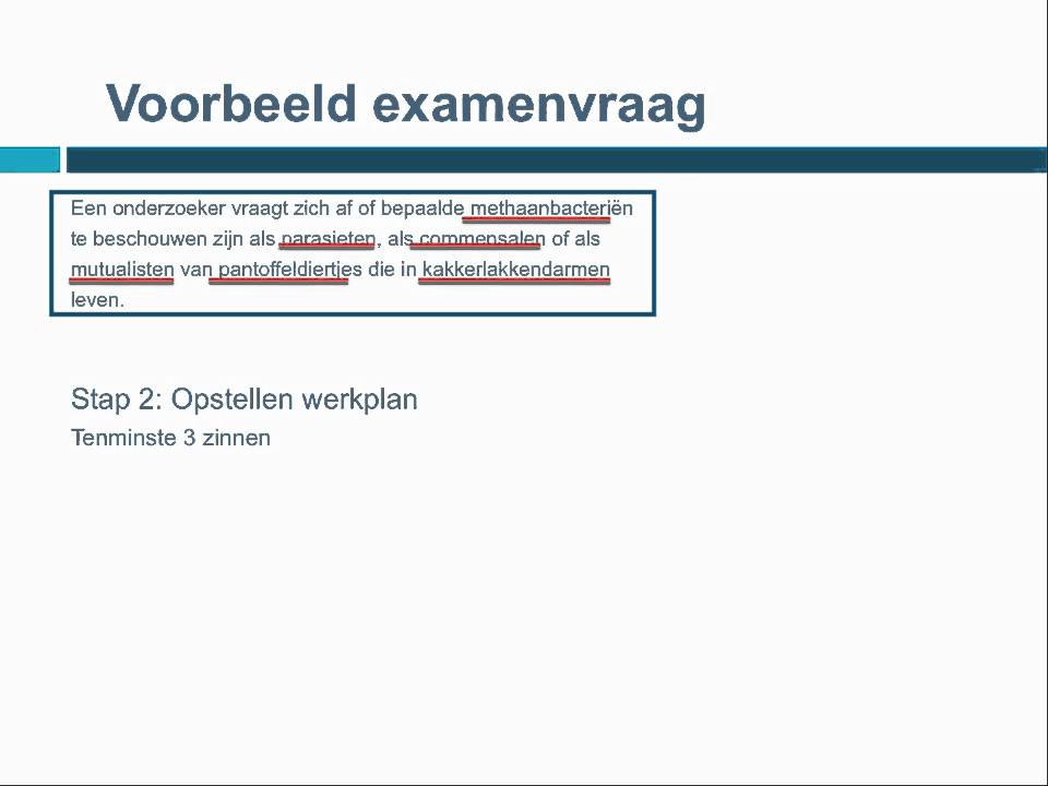 Opstellen Werkplan.Mp4 - Youtube