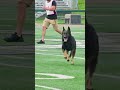 Haz and Chiko enter the field for Protection