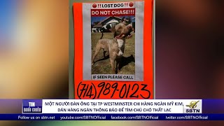 Mot nguoi dan ong o TP Westminster chi hang ngan my kim tim chu cho that lac