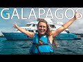 Why YOU should go on a GALAPAGOS CRUISE | Penguins, Tortoises, Rays | 2022